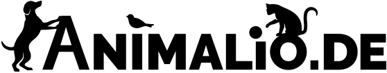 animalio Logo